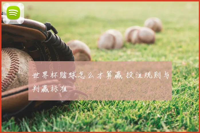 世界杯赌球怎么才算赢 投注规则与判赢标准